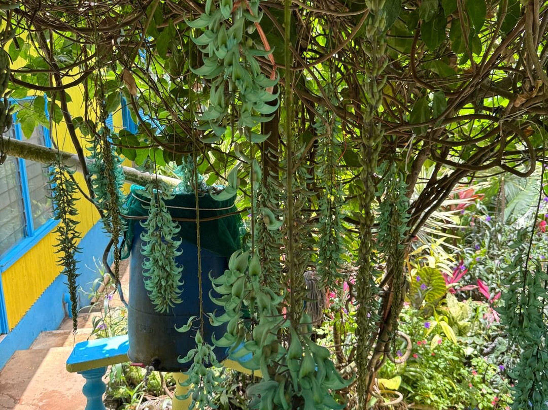 Kot Man-Ya Exotic Flower Garden-皇家沙滩必去景点