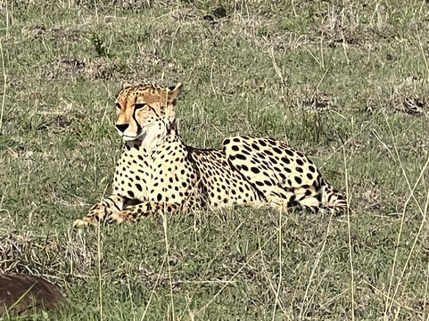 Singita Castleton主图