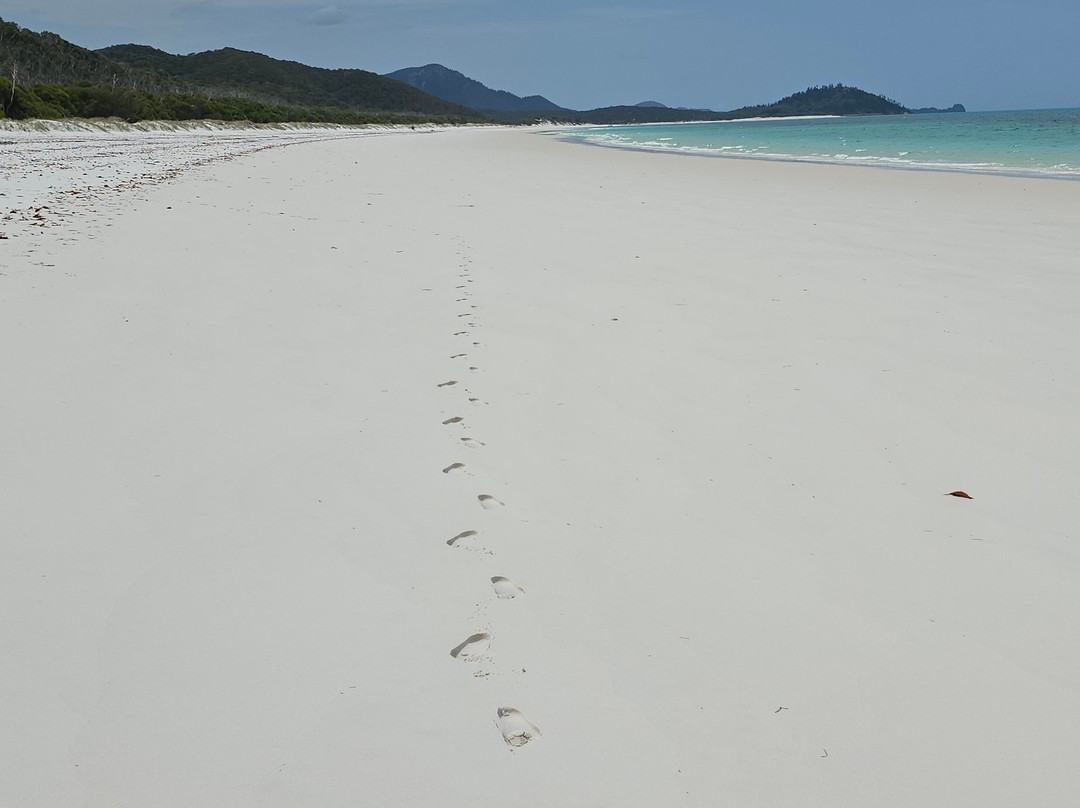 Whitsunday Paradise Explorer-圣灵群岛必去景点