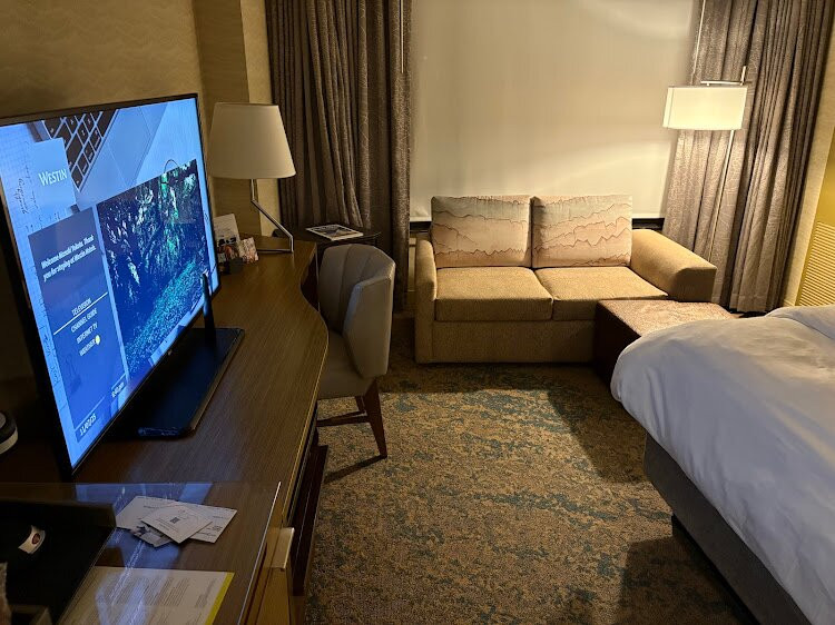 底特律麦特罗机场威斯丁酒店主图