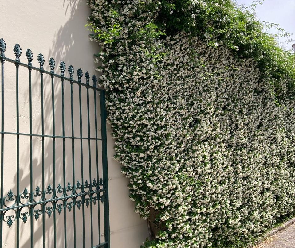 Hotel Roble Blanco主图