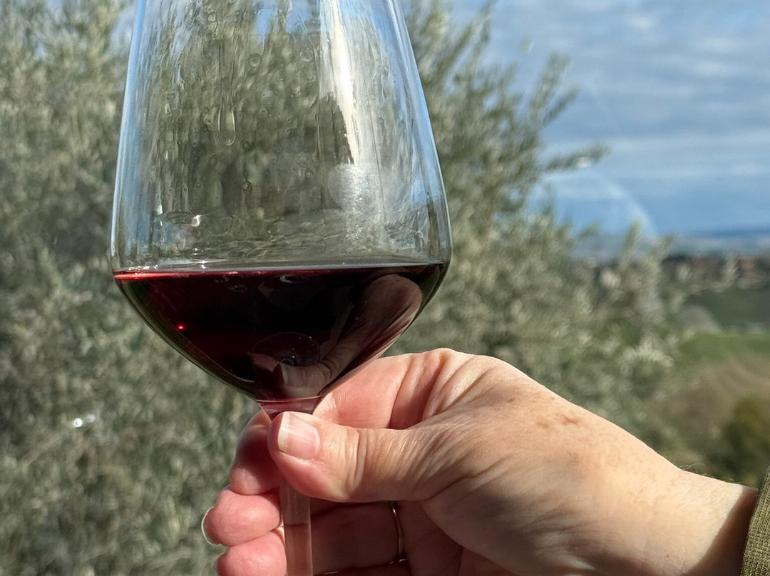 Madonnabella Winery & Wine Shop-锡耶纳必去景点