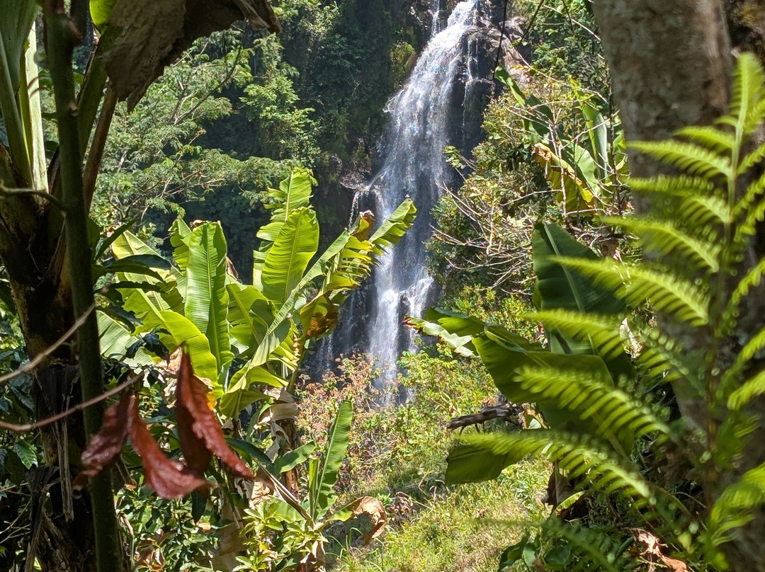 Tanzania Travelers-莫西必去景点