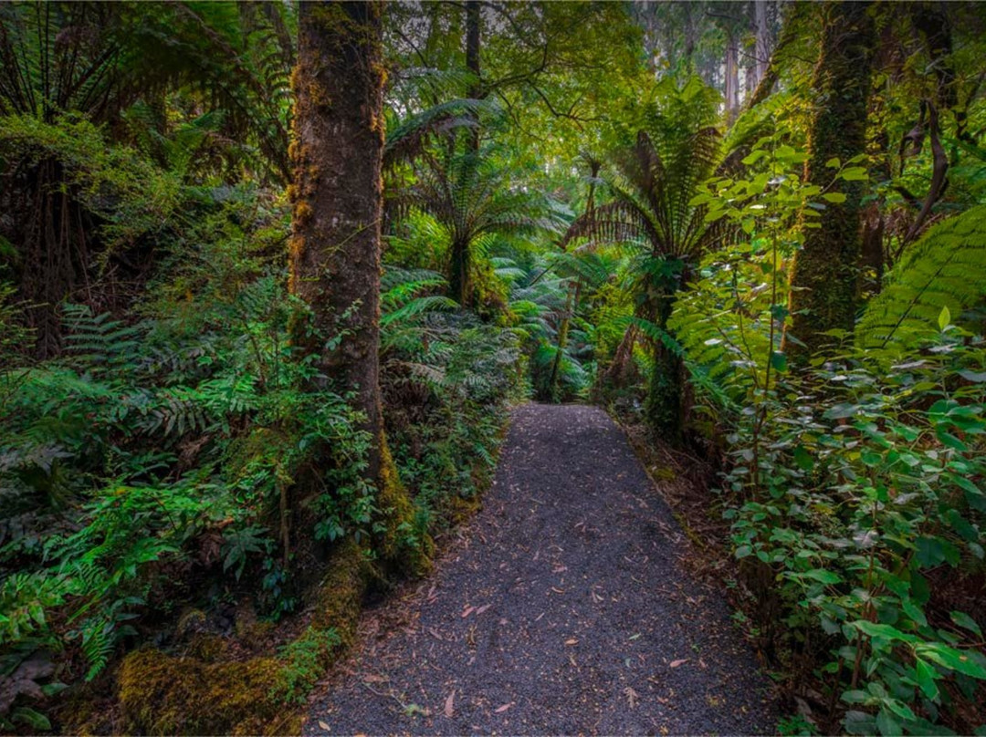 Balook旅游攻略图片