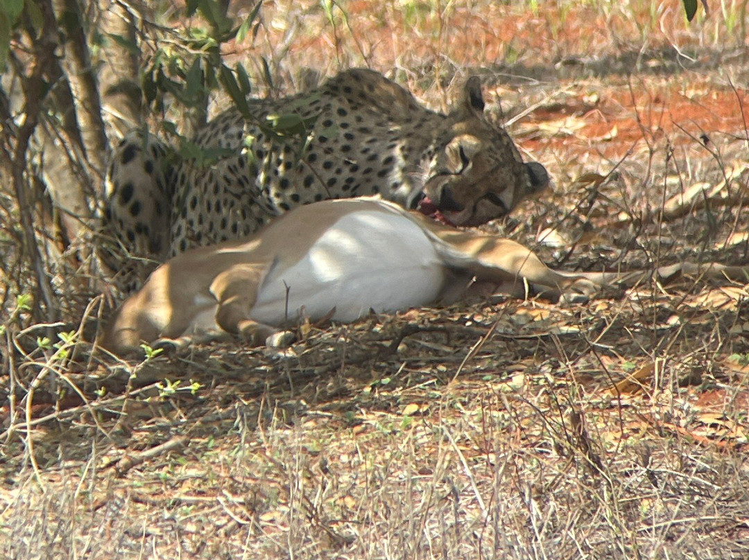 Malik Safari-马林地必去景点