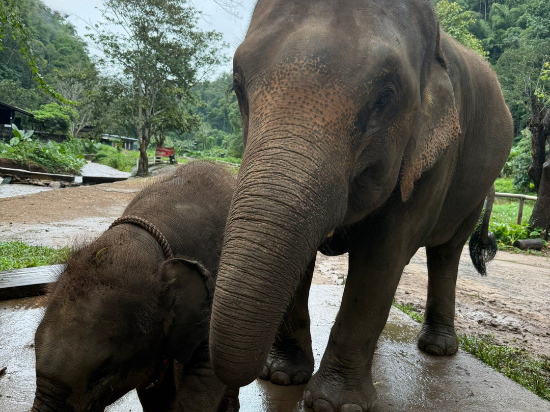 Asia Tours-胡志明市必去景点