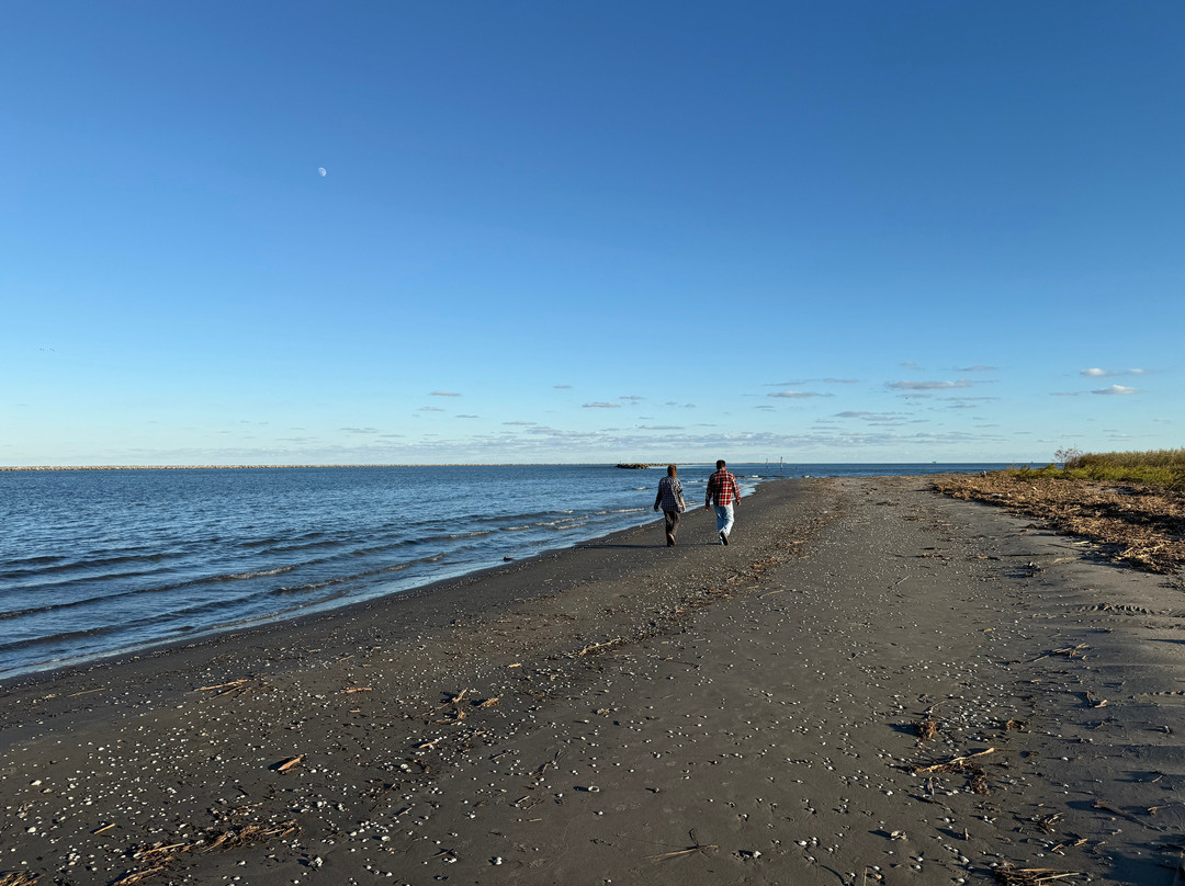 Delta Discovery Tours-Empire必去景点