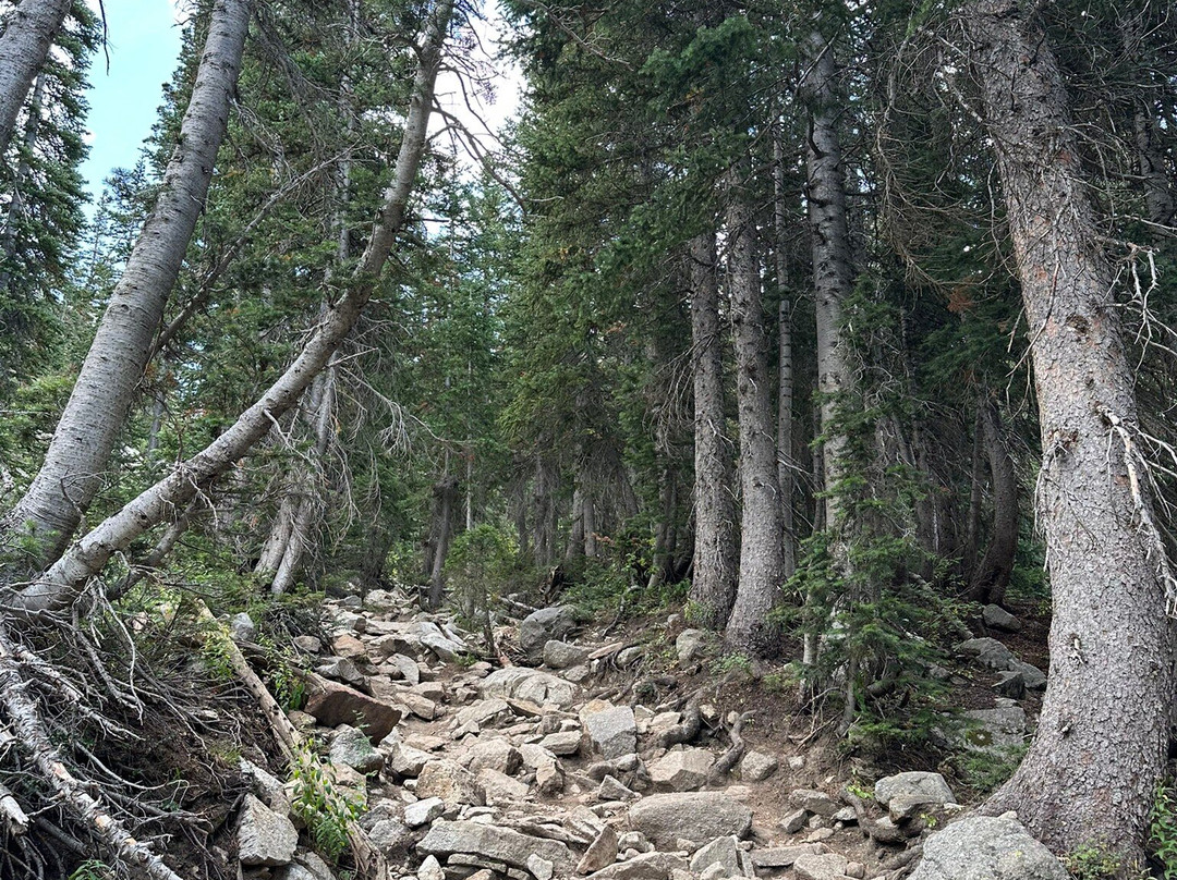 Red Pine Lake-帕克城必去景点