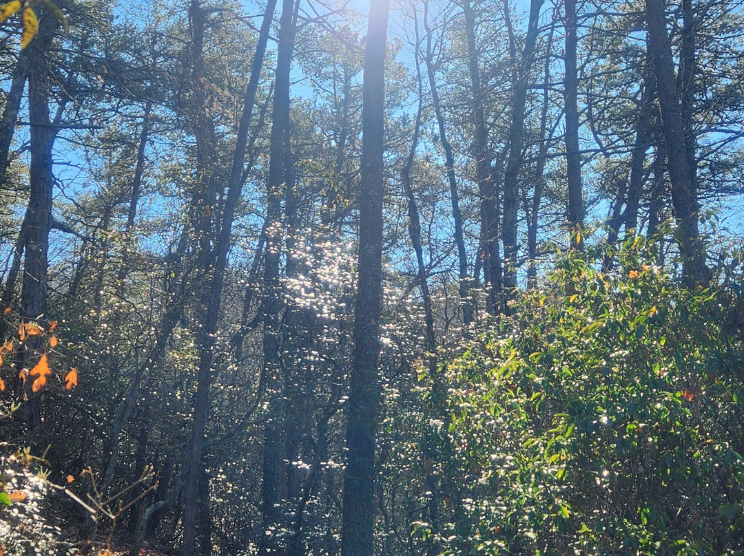 Bakers Mountain Park-希科里必去景点