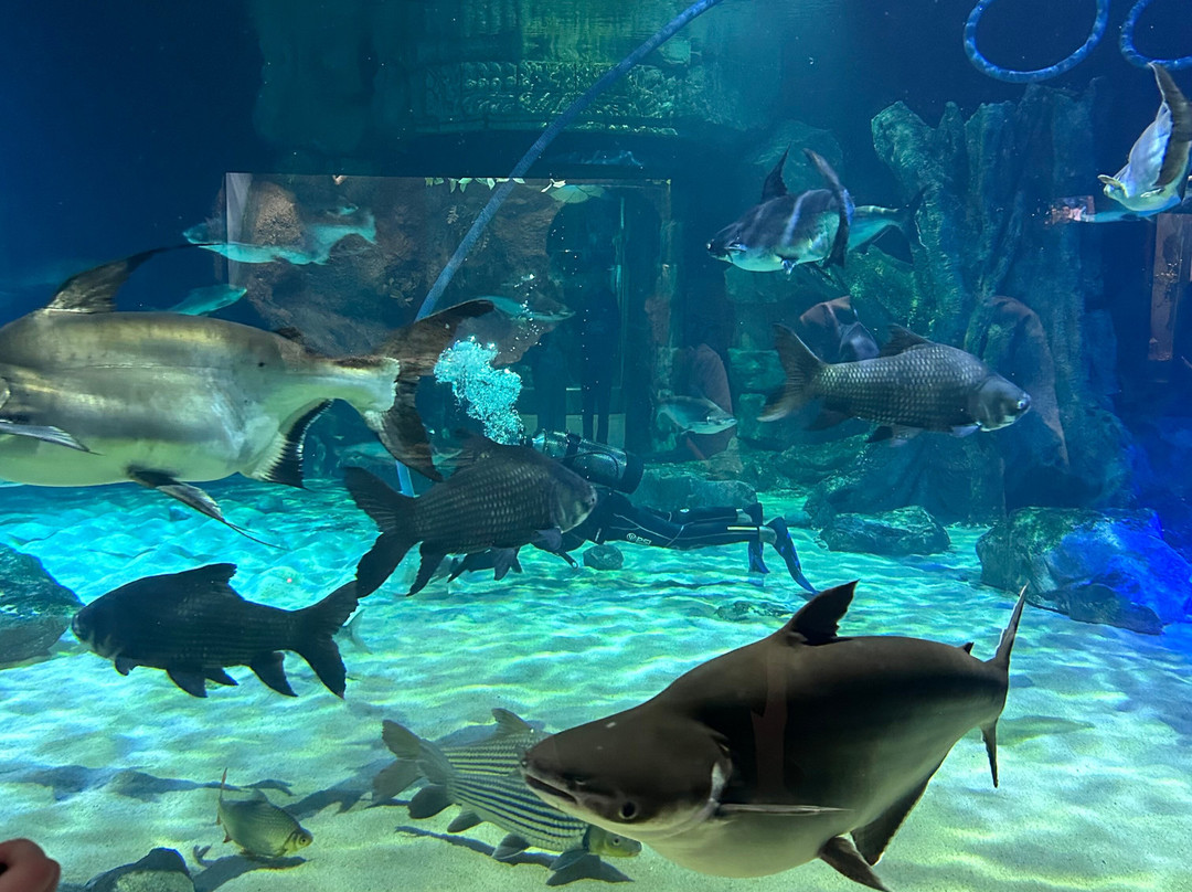 Angkor Wildlife & Aquarium-暹粒必去景点