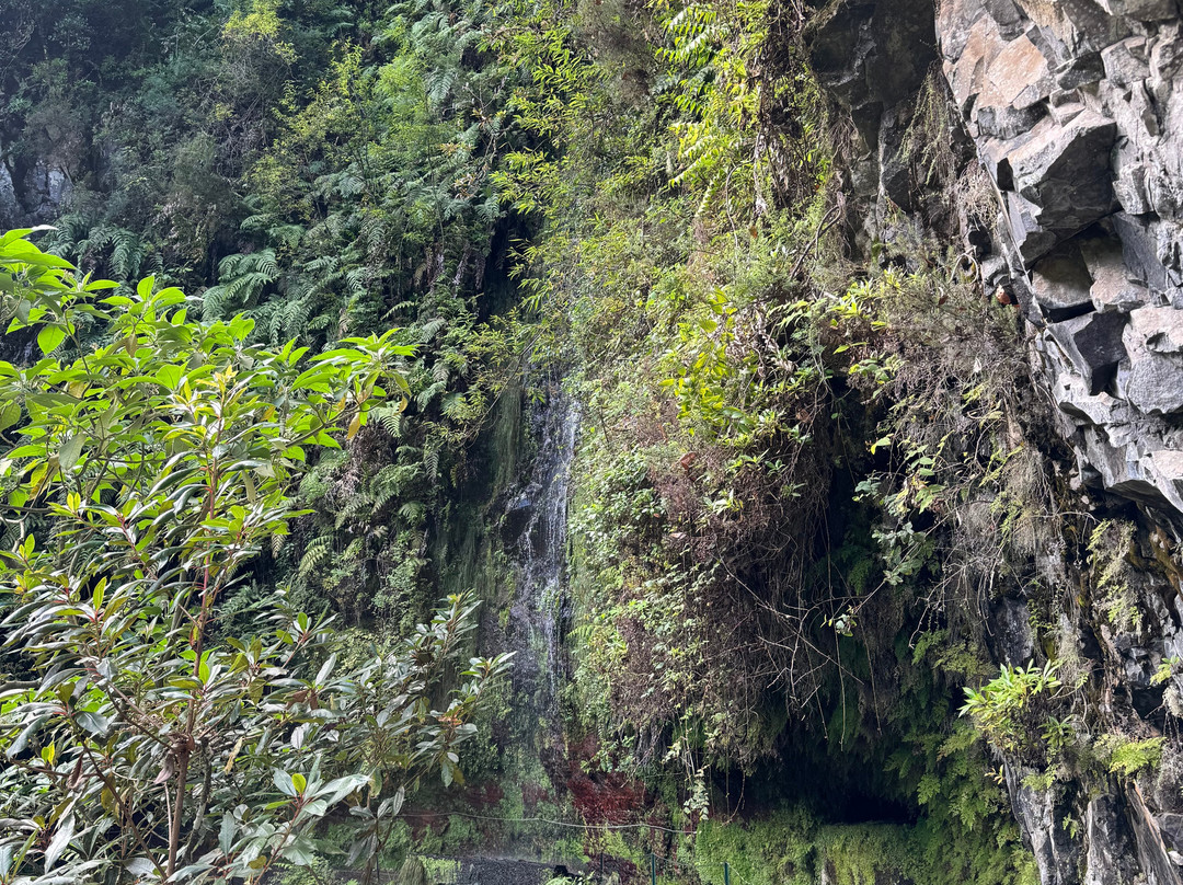 Levada Do Reí-Sao Jorge必去景点