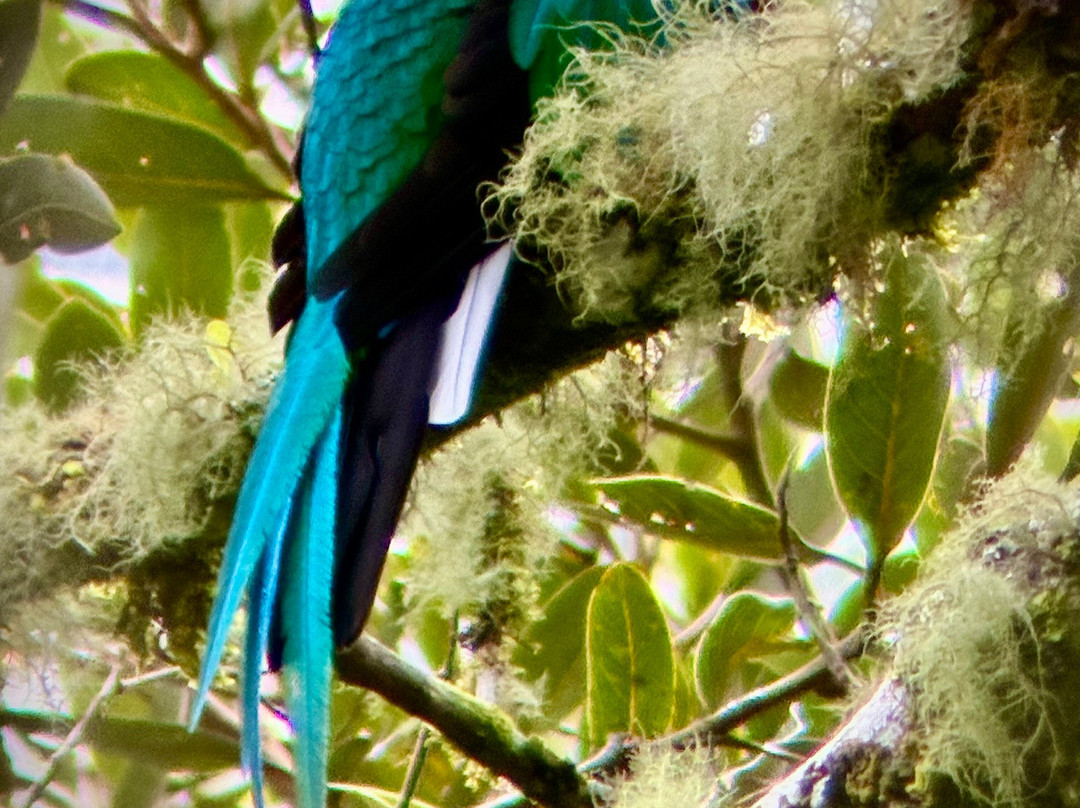 Jason Lara Tours-波魁特必去景点