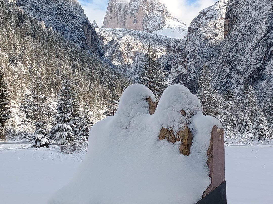 Venice Travels-麦斯特必去景点