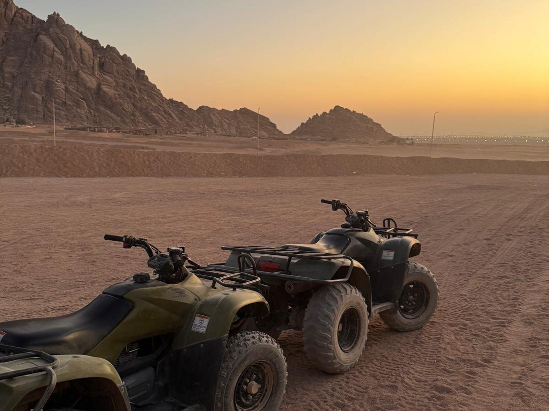 La Pecora Nera-Escursioni Sharm-沙姆沙伊赫必去景点