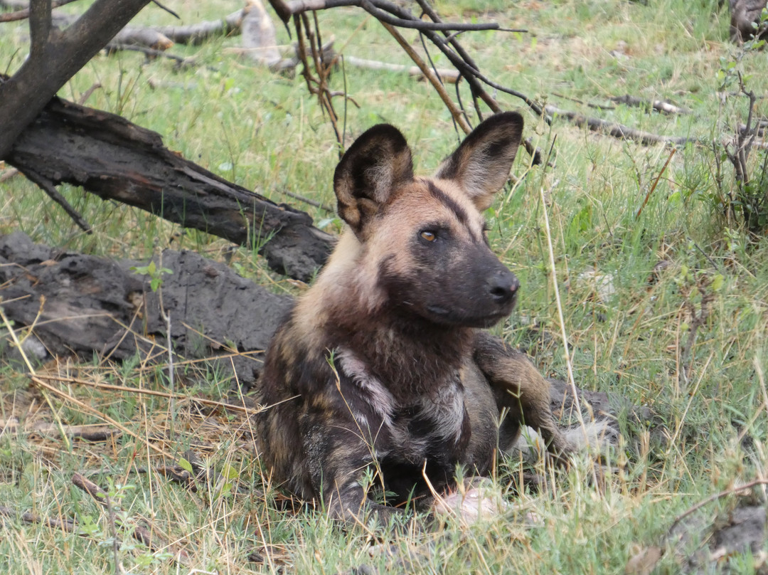Safari Specialists-马翁必去景点