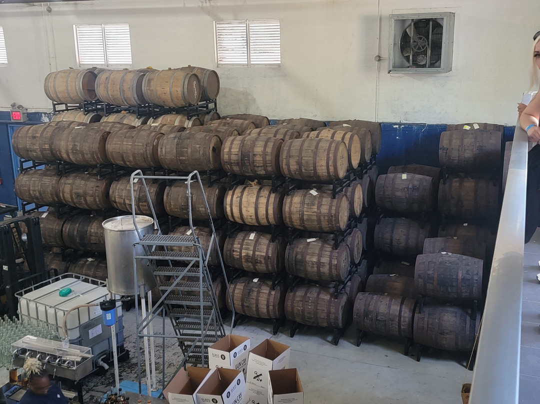 Pirate Jeep Tours Sightseeing Adventure!-拿骚必去景点