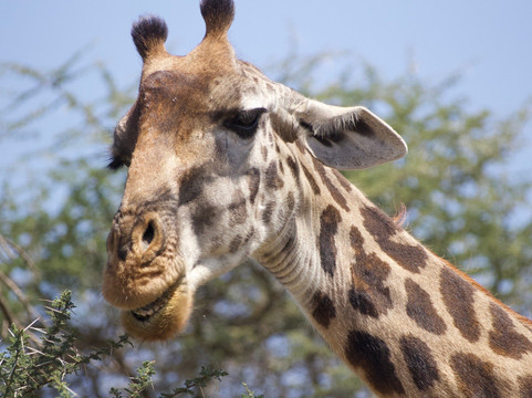 Lune Adventure Ltd-莫西必去景点