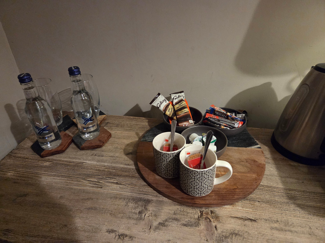 The Curious Fox主图