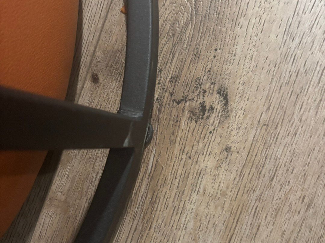 Comfort Suites Fort Wayne - Southwest主图