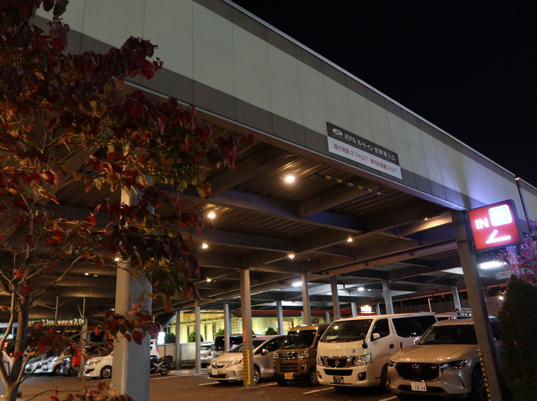 Hotel Route Inn Fujichuokoen Higashi主图