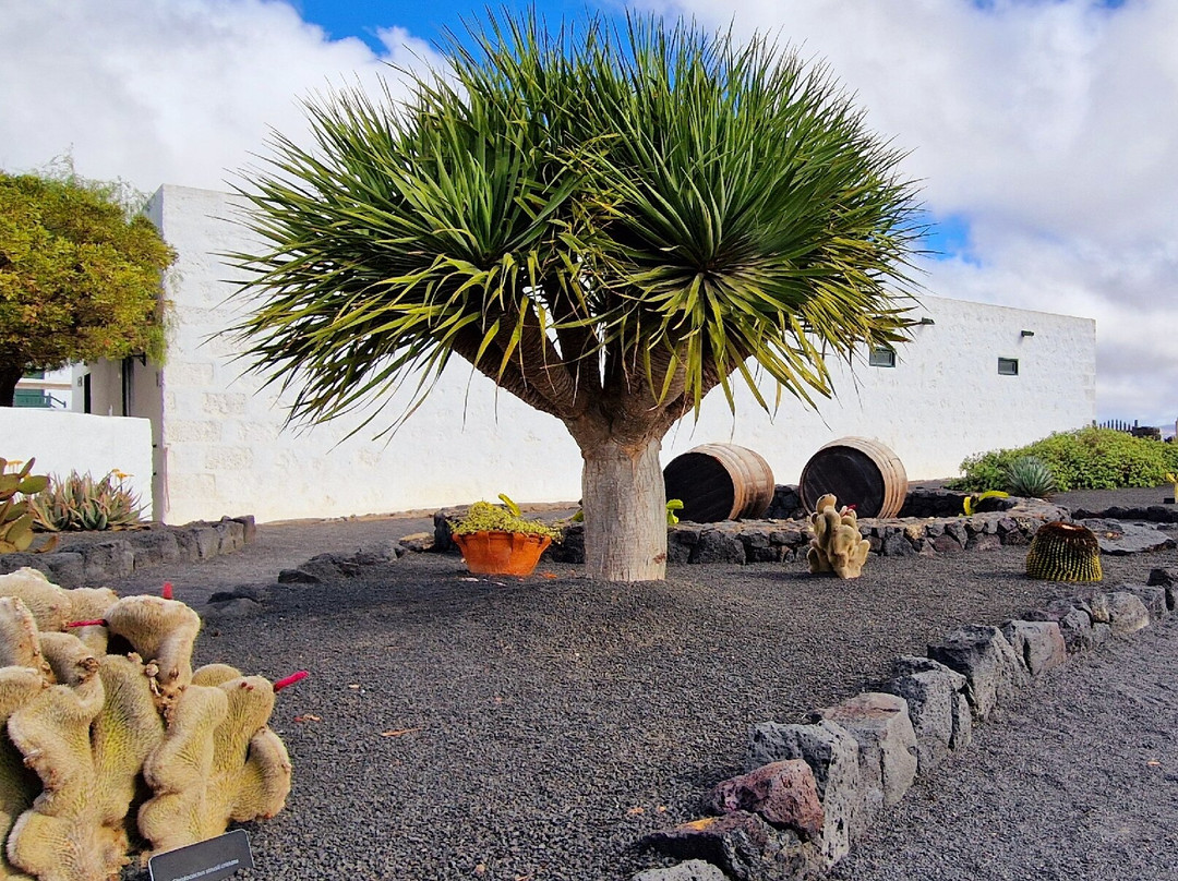 El Grifo - Museo del Vino-San Bartolome必去景点