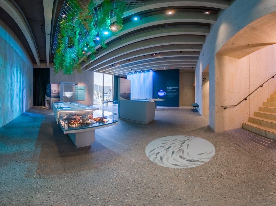 Ocean Stories-霍宁斯沃格必去景点