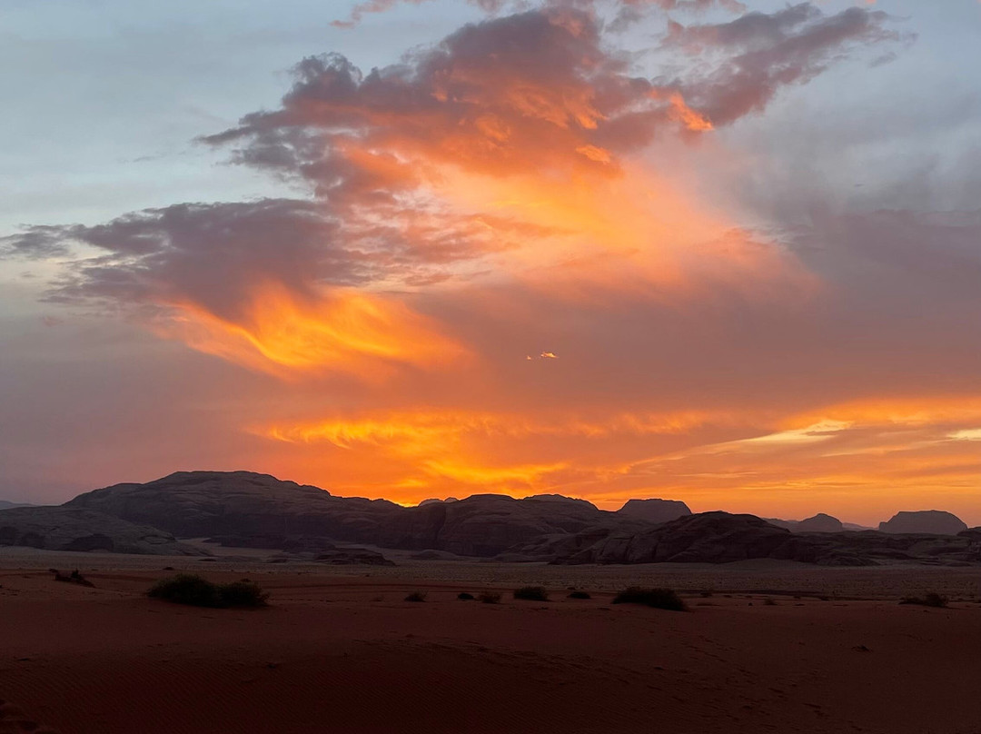 Wadi Rum Desert Adventures - Day Tours-Wadi Rum Village必去景点