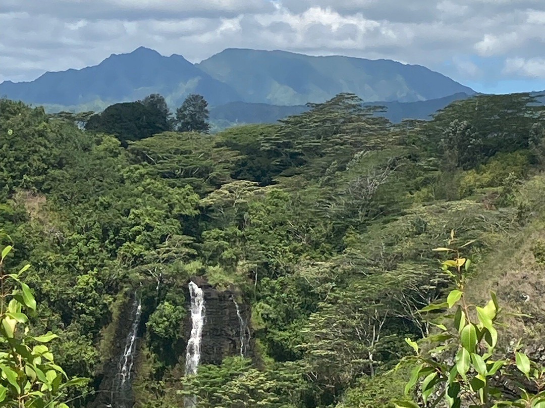 威鲁亚河州立公园-Wailua必去景点