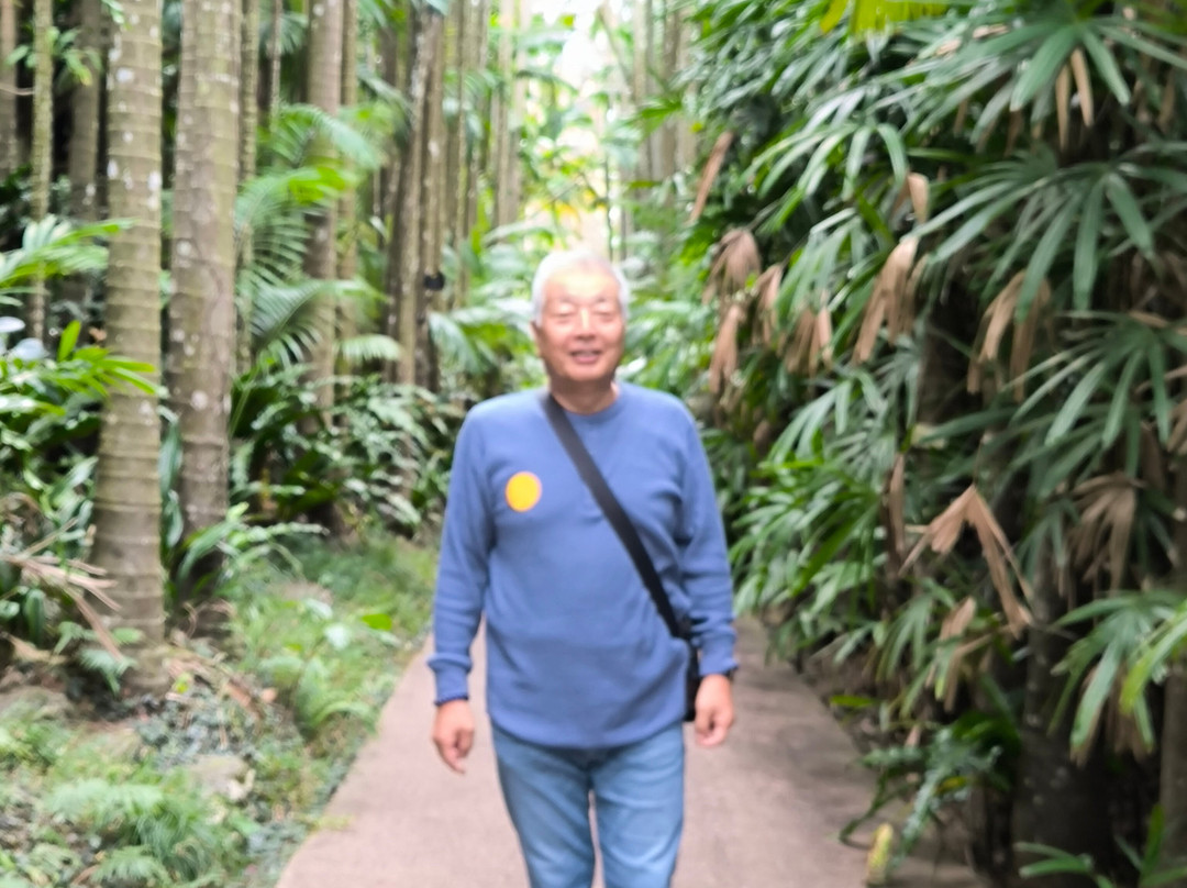 东南植物乐园-冲绳市必去景点