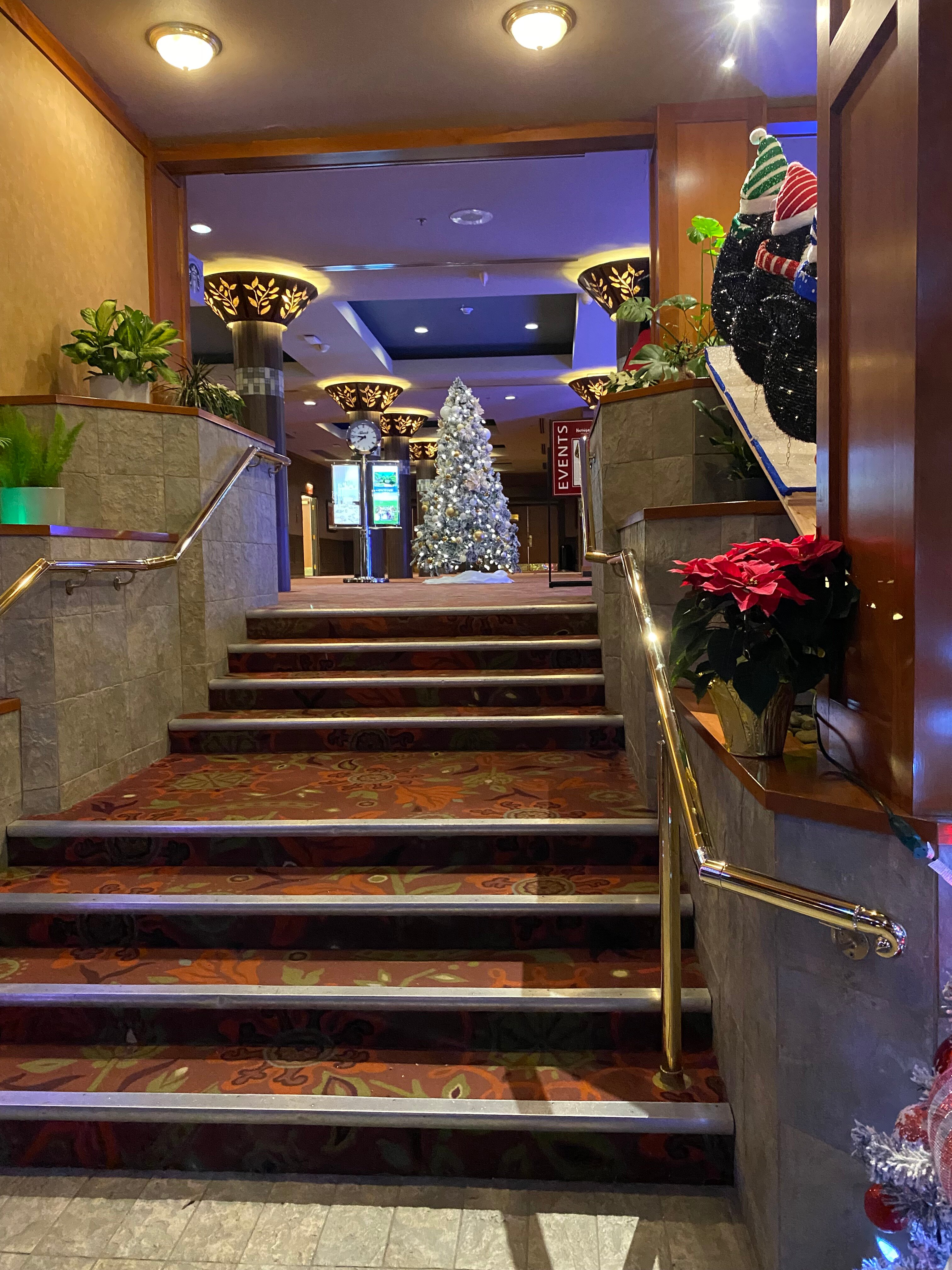 哈里森温泉度假村-官方