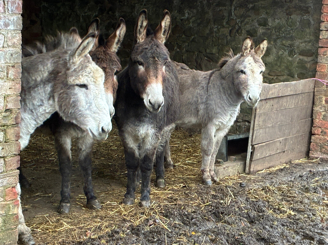 Holme Grange Farm主图