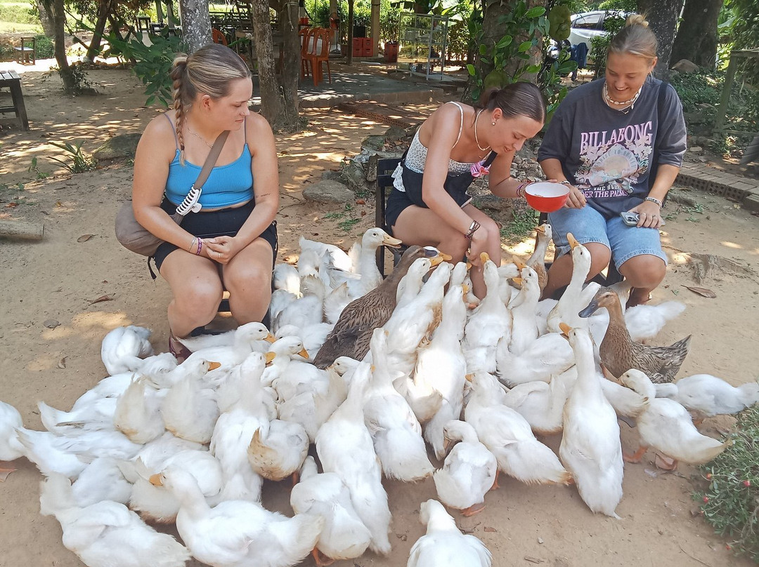 Indochine Junk-卡巴必去景点