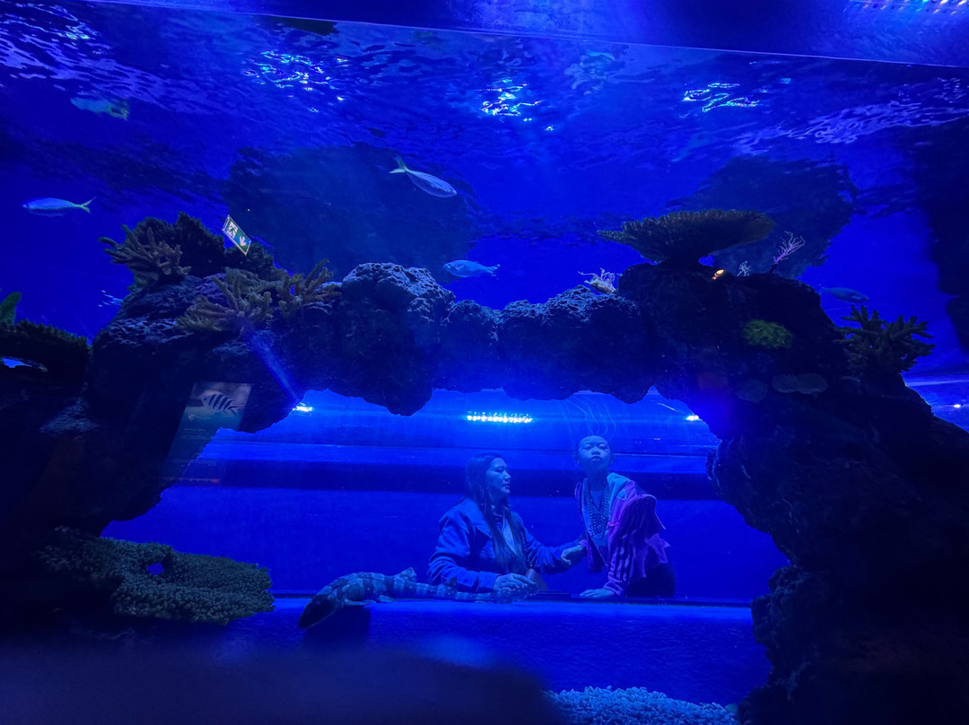 Marassi Aquarium & Underwater Zoo-Diyar Al Muharraq必去景点