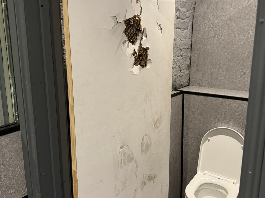 The Fuzzy Bear-温莎必去景点