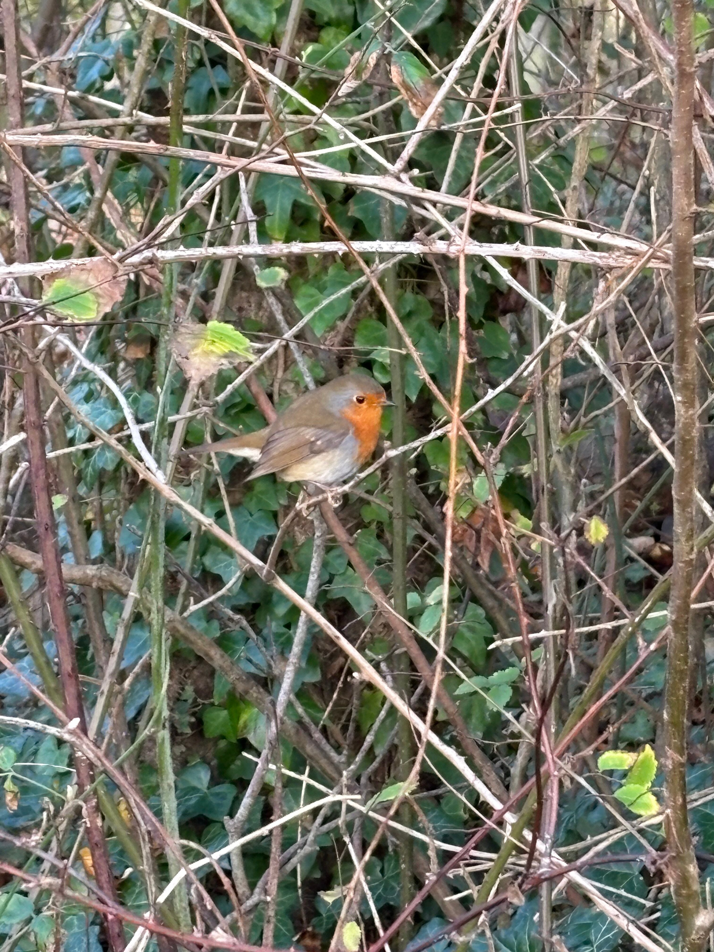 Saltmarsh Farmhouse-官方