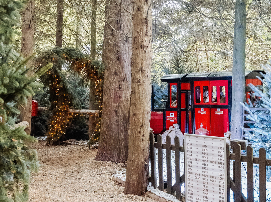 Santa's Grotto At Coolings Lifestyle