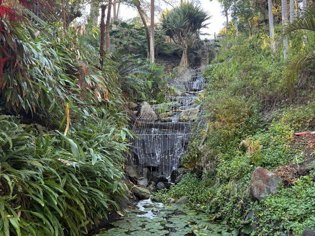 San Diego Botanic Garden-恩西尼塔斯必去景点