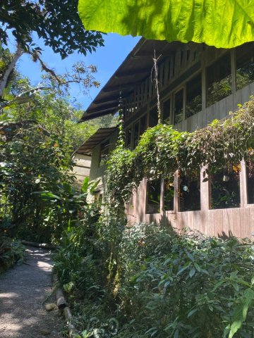 迪威那之家生态郊外小屋-浴室