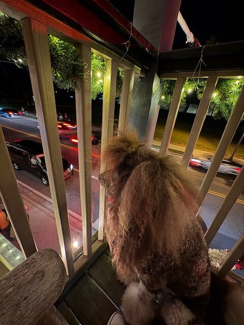 St. George Inn主图