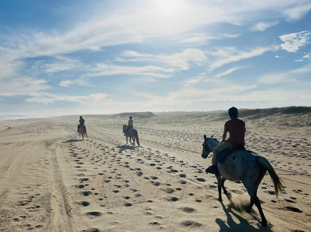 Eco Equus Cabalgatas-La Pedrera必去景点