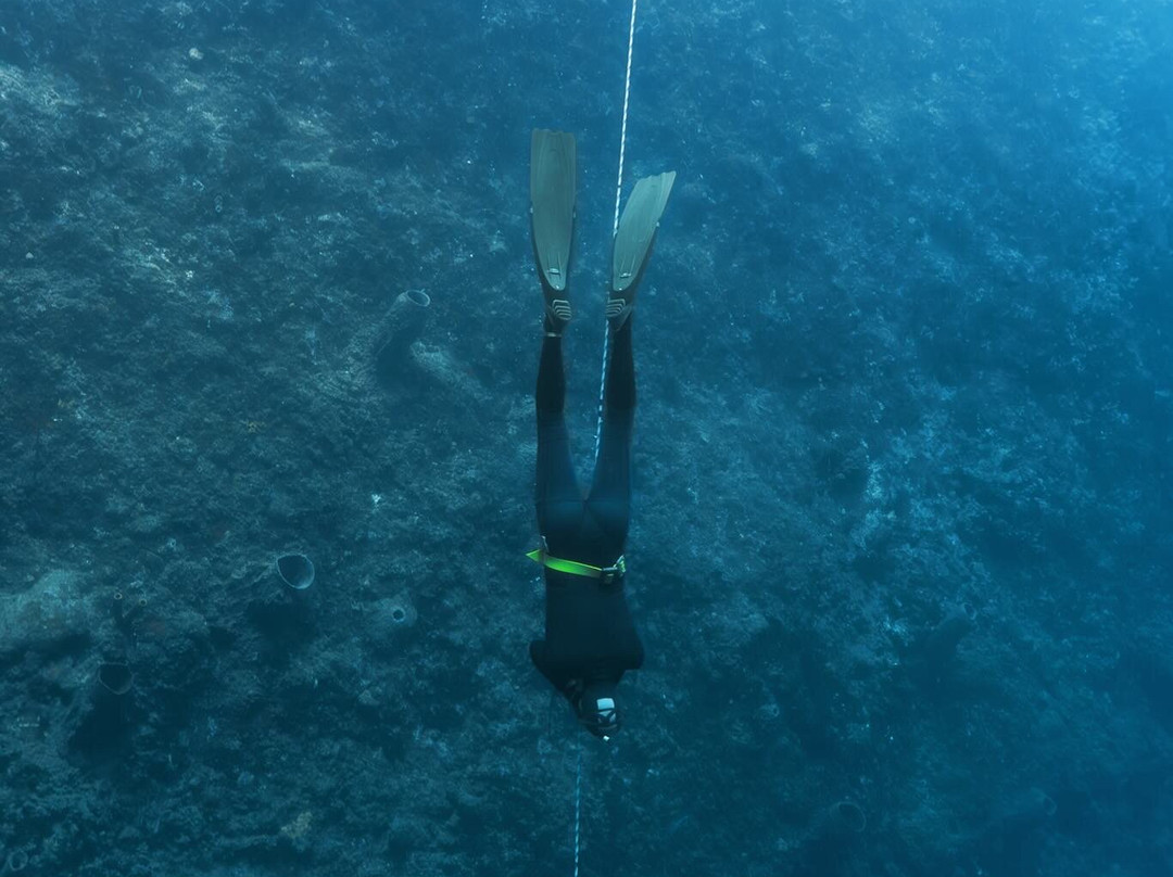 Deep Dominica Freediving-Soufriere必去景点