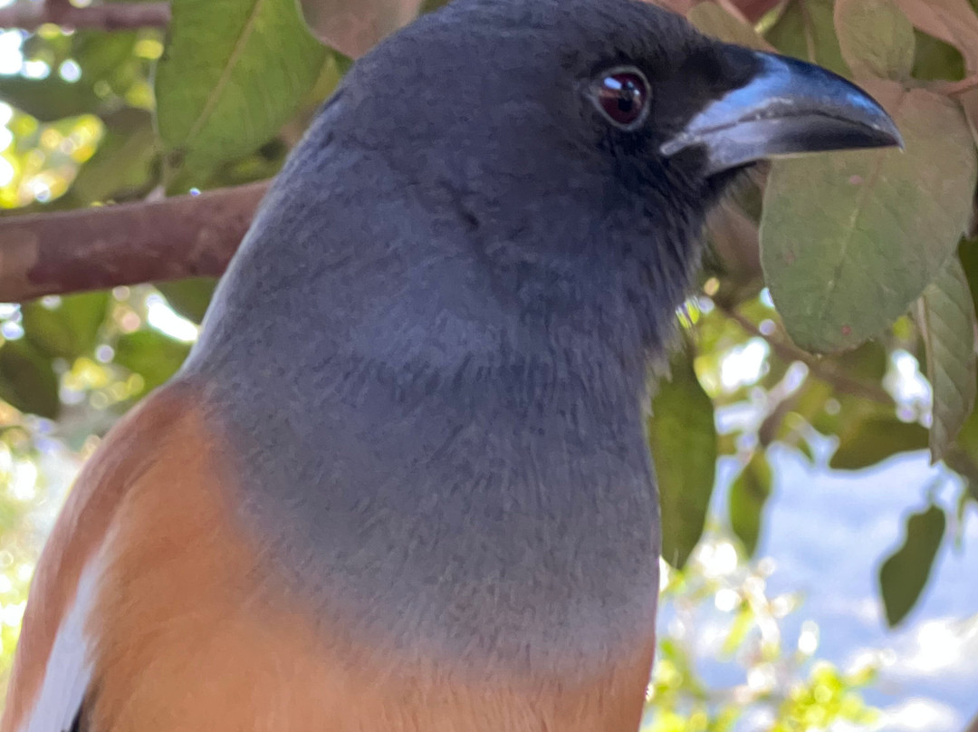 Rajasthan Tour Planner-斋蒲尔必去景点