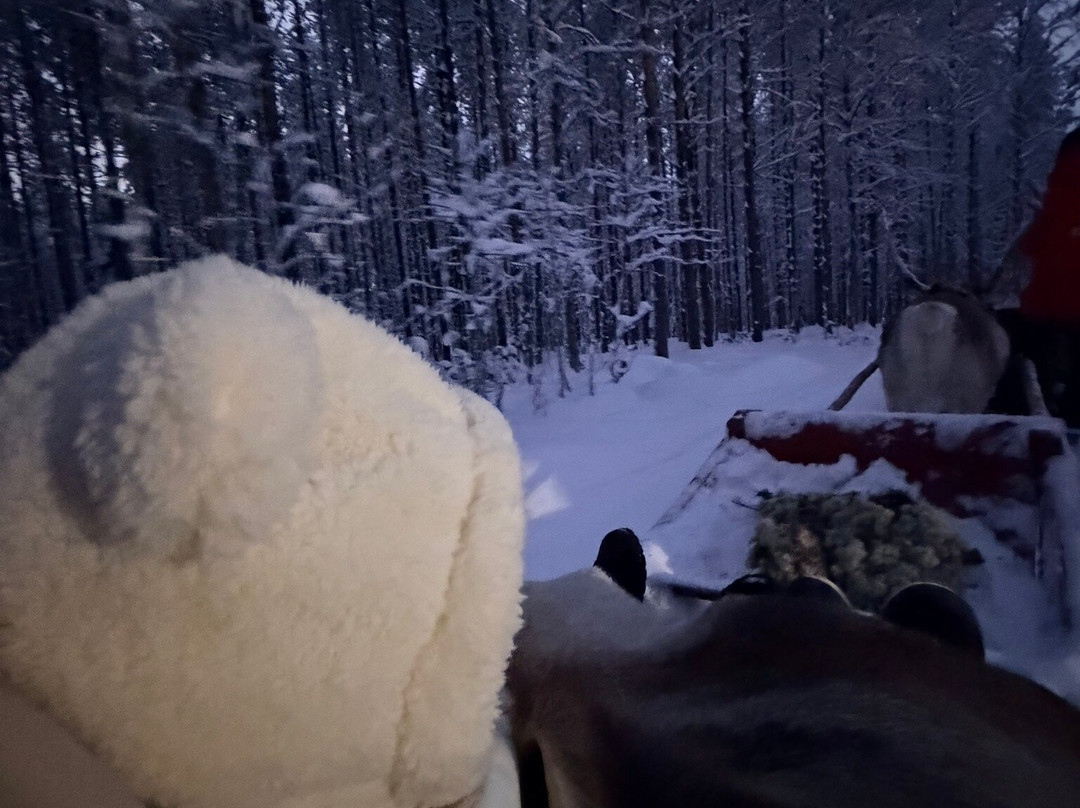 圣诞老人驯鹿雪橇之旅-罗瓦涅米必去景点