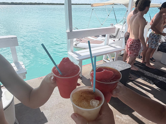 Island Paradise Tours-普罗维登西亚莱斯必去景点