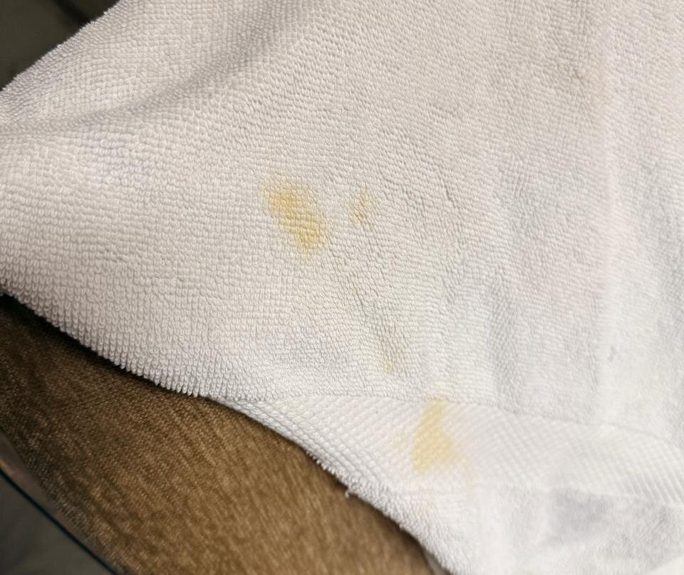 Hotel Regency Inn主图