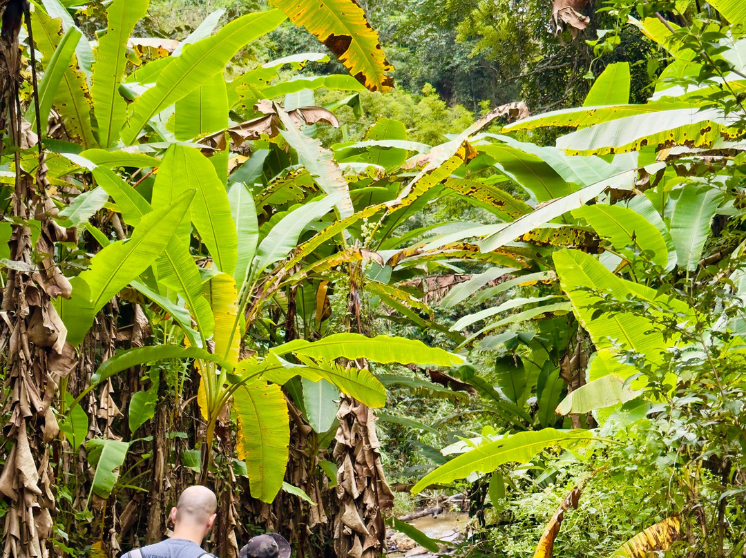 Chiang Mai Eco Trekking-清迈必去景点