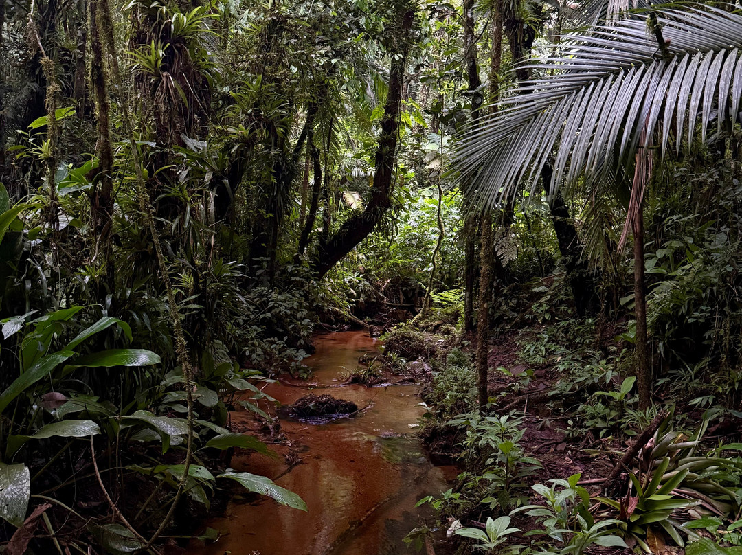 Trilha dos Tucanos-Tapirai必去景点