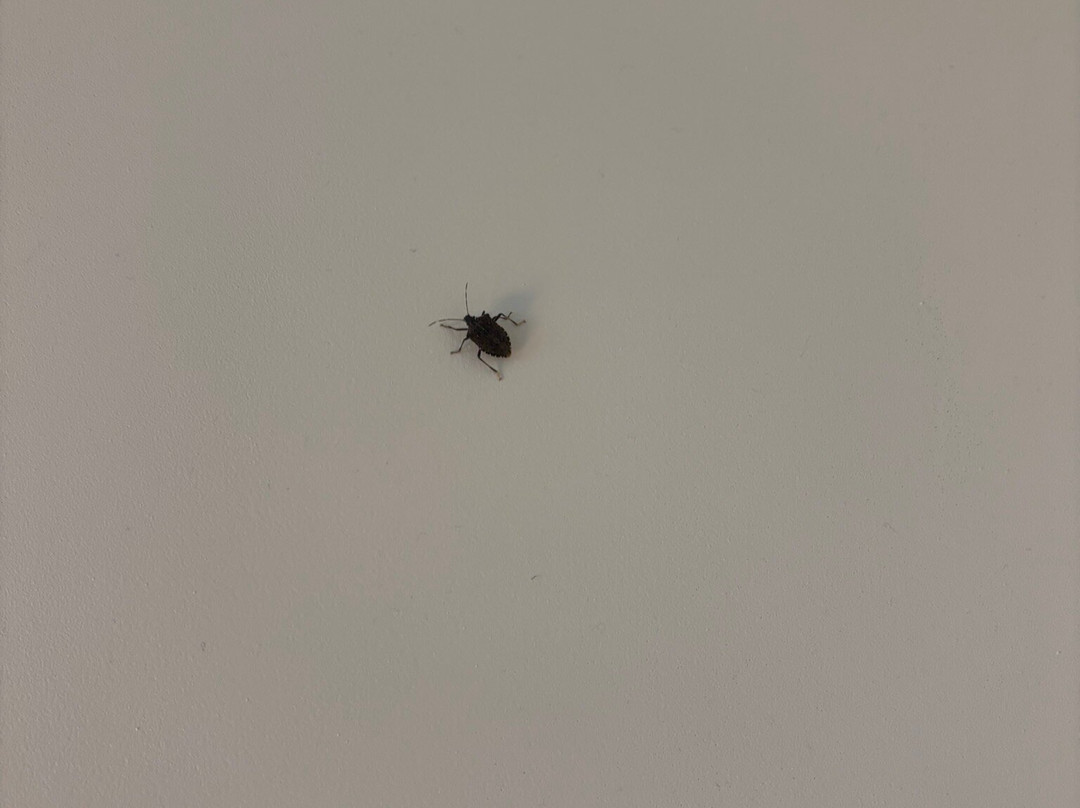 Hilton Garden Inn Annapolis Downtown主图