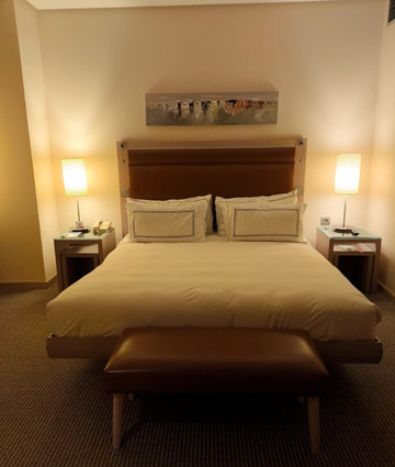 瓦伦西亚美利亚酒店主图