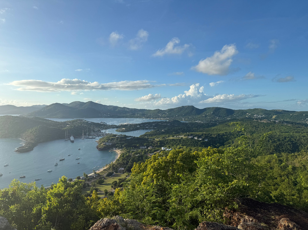 Brinks Transportation Services